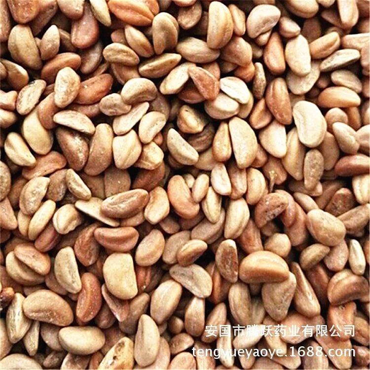 Dried Hawthorn Seeds Shan Zha Zi Bulk Herbal Filling Material for Cushions and Pillows - Image 5