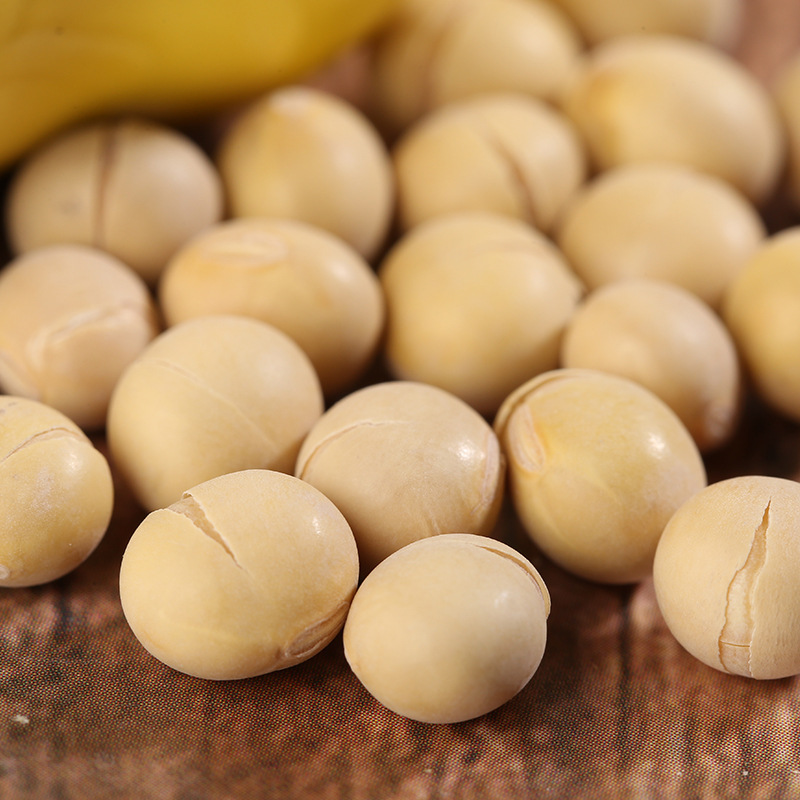Roasted Soybeans Huang Dou 大豆 50 lb Bulk Bag for Homemade Soymilk Farm Grown Low Temperature Baked - Image 2
