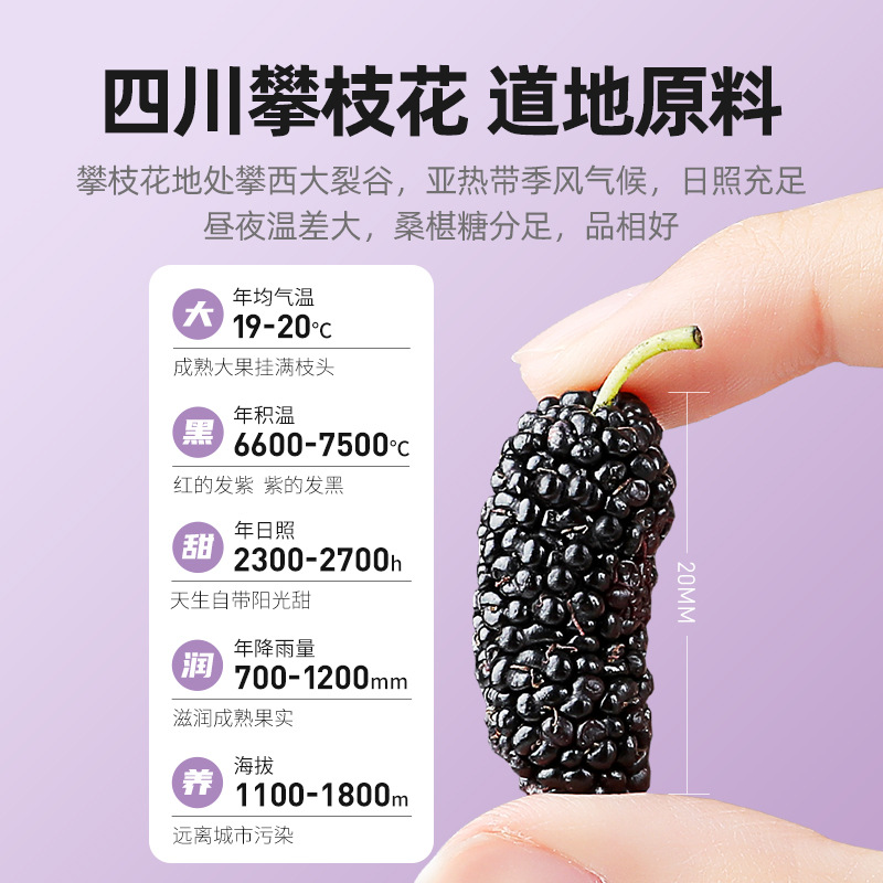 Dried Mulberry Fruit 60g Bag Sang Shen Dried Black Mulberry for Tea and Wine Soaking - Image 4