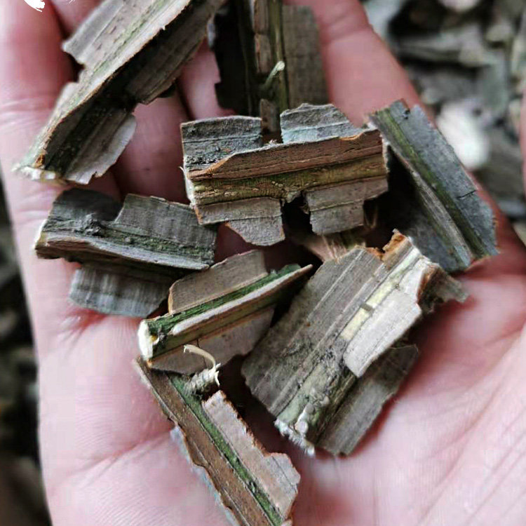 Gui Jian Yu Dried Herb 500g Euonymus alatus Twig Decoction Pieces Traditional TCM Herbal Supply - Image 3