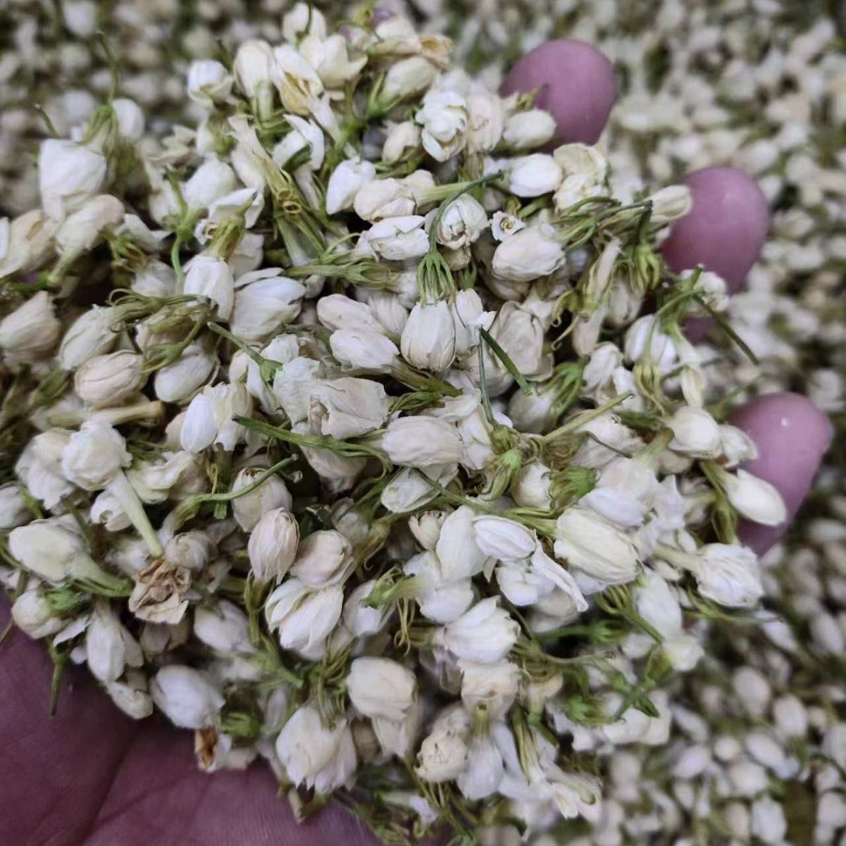 Jasmine Flower (Jasminum sambac) — Dried Food-Herb Blossoms for Tea & Powder - Image 2