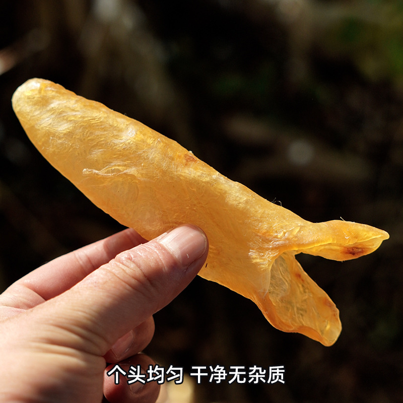 Premium Huang Hua Jiao Fish Maw Tubes 250g Dried Yellow Croaker Swim Bladder for Nourishing Soups and Postpartum Care - Image 2