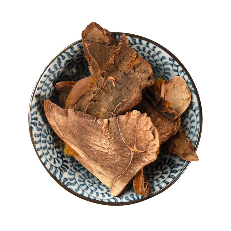 Gou Ji (Cibotium barometz) — Golden Hair Dog Spine Rhizome, Prepared & Powdered - Image 5