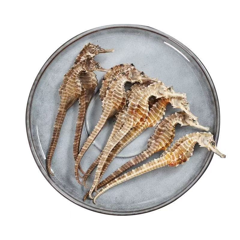 Dried Seahorse Hai Ma 3-4g Whole Dried Sea Dragon Tonic Herb for Culinary and Traditional Use - Image 5