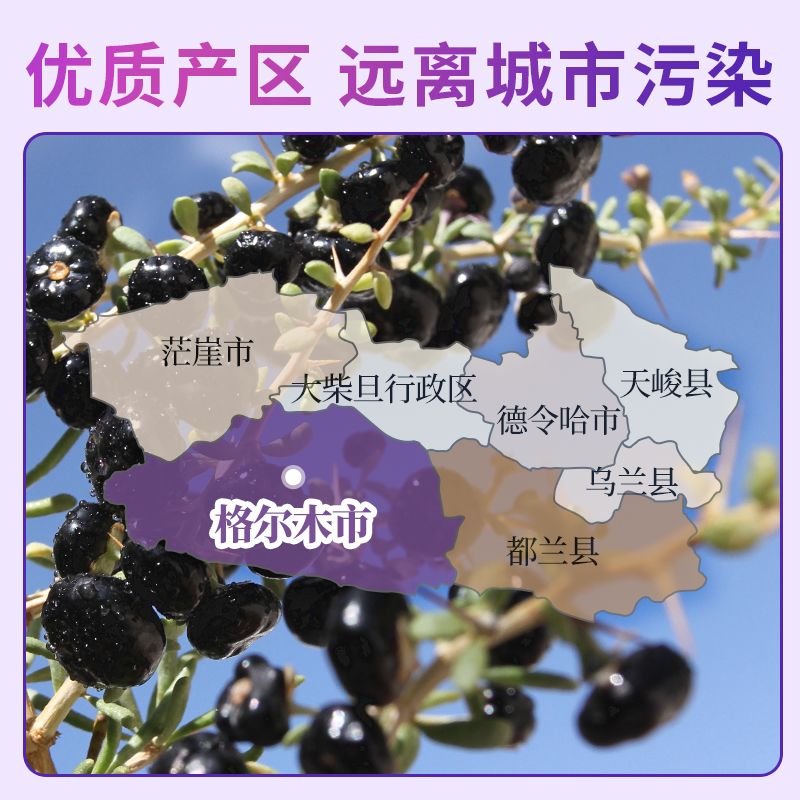 Black Goji Berry Juice Concentrate Ningxia Wolfberry Original Liquid Ready to Drink 40 Bottles Gift Set - Image 4