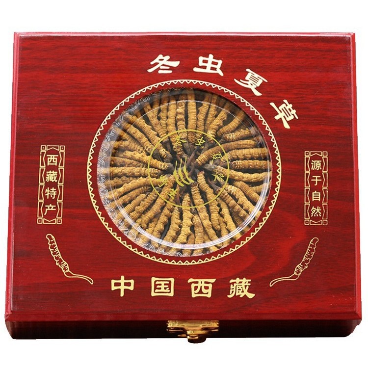 Cordyceps Sinensis Dong Chong Xia Cao Whole Dried Caterpillar Fungus Gift Box 60 Pieces Culinary Herbal Tonic - Image 5
