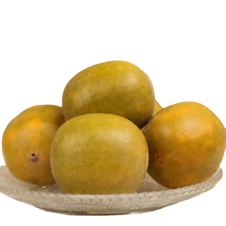 Luo Han Guo Dried Fruit (Siraitia grosvenorii) — Freeze-Dried Monk Fruit from Guangxi - Image 5