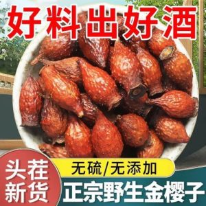 Jin Ying Zi (Rosa laevigata) Dried Fruit Slices — Wild Food Herb for Tea & Tonic Wine