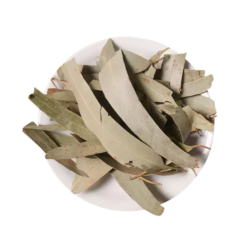 Eucalyptus Leaves (Eucalyptus globulus) — Dried Herbal Leaf for Tea, Steam & Soak - Image 5