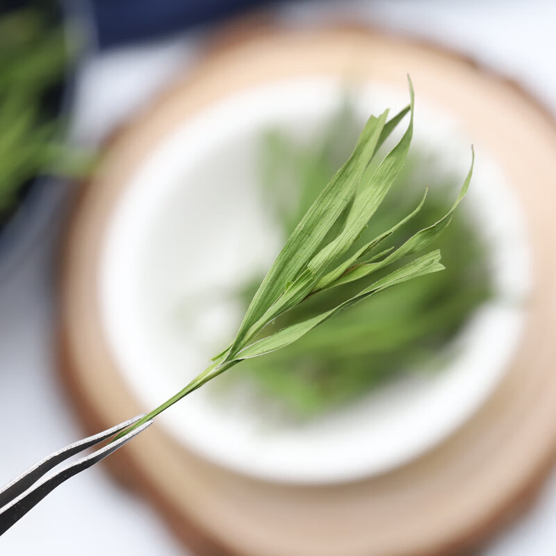 Laoshan Dianzhu Ye Loose Herbal Tea 500g Fresh Bamboo Leaf Buds for Daily Brewing - Image 5