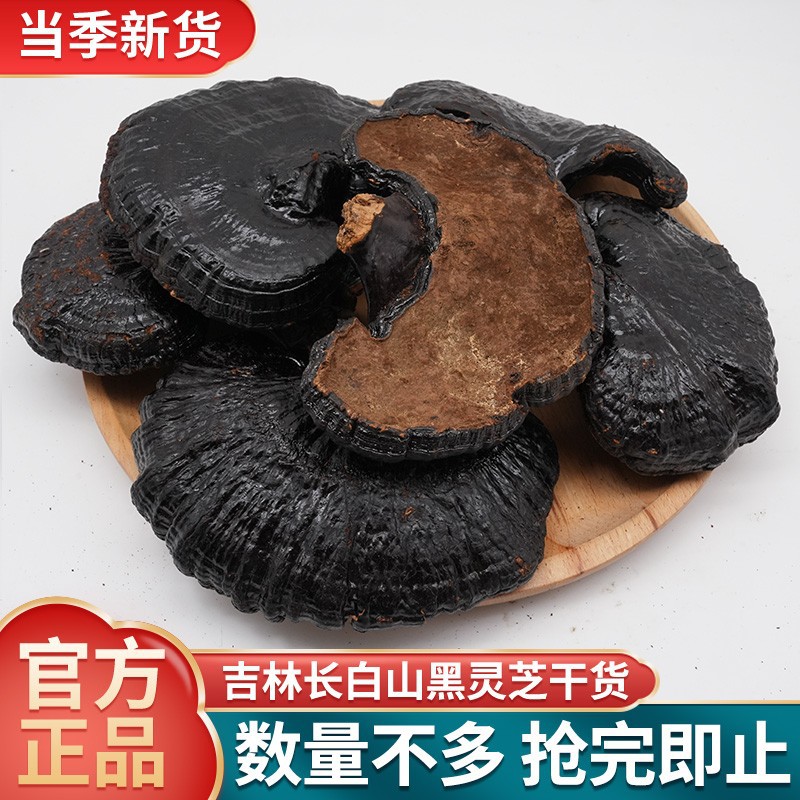 Black Lingzhi Whole Dried Reishi Mushroom 500g Changbai Mountain Hei Ling Zhi for Soup and Tea - Image 3
