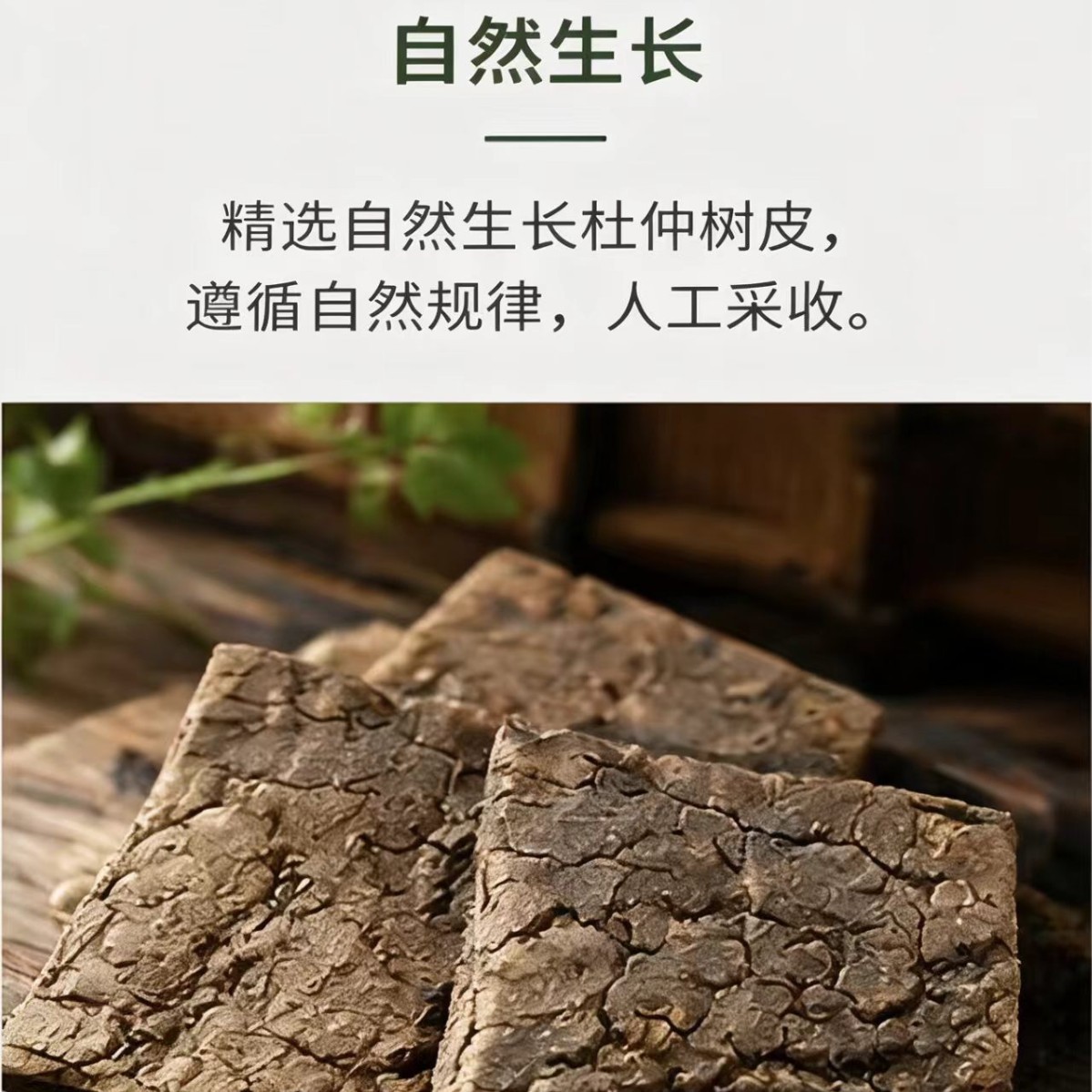 Sichuan Eucommia Bark Du Zhong Thick Slices 1000g Bulk Dried Herb for Decoction Soup and Herbal Wine - Image 3