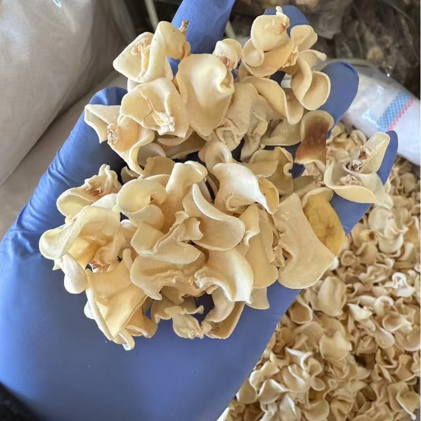 Dried White Wood Ear Mushroom 500g Natural Sun Dried Tremella for Soups and Cold Dishes - Image 2