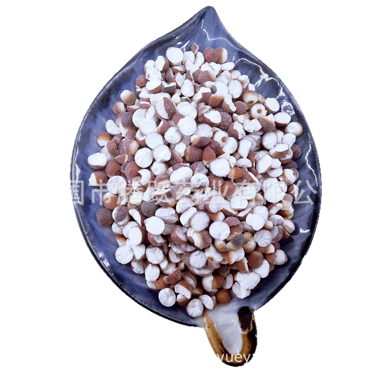 Dried Gorgon Fruit Qian Shi Euryale Ferox Seeds Whole Bulk 1kg Guangdong Origin - Image 5
