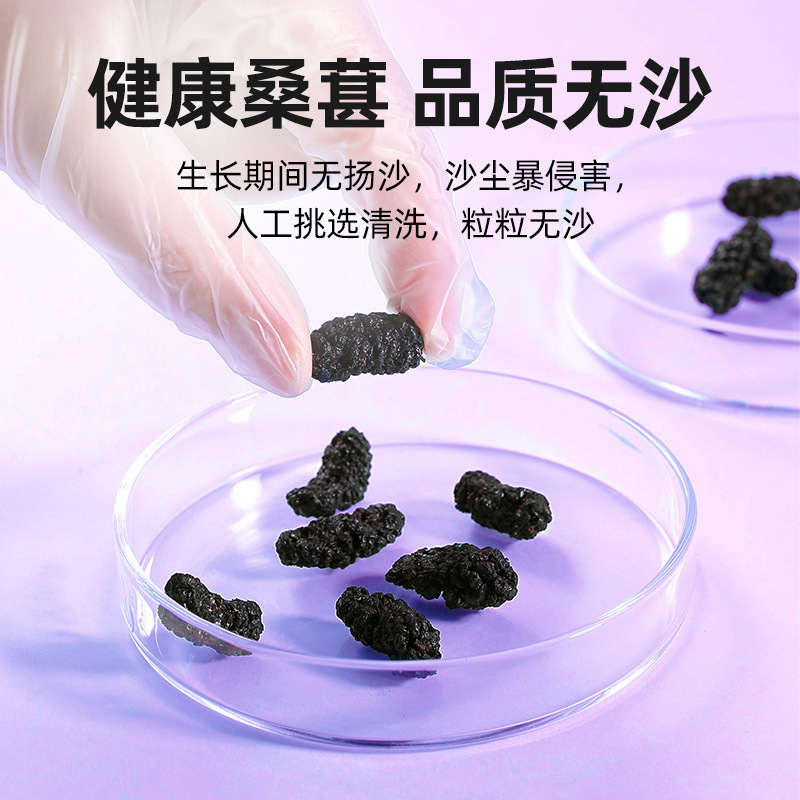 Dried Black Mulberry Fruit 200g Jar Ready to Eat Sang Shen Dried Mulberries for Tea and Snacks - Image 3