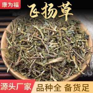 Fei Yang Cao (Euphorbia hirta) — Dried Herbal Whole Plant, 500g