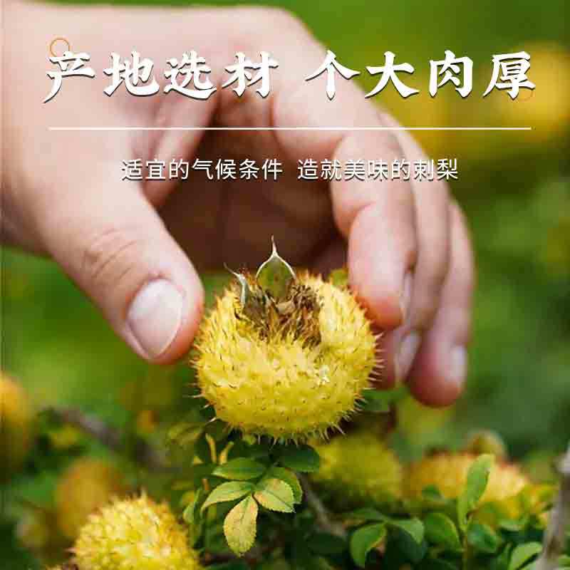 Freeze-Dried Rosa roxburghii Fruit 100g Ci Li Dried Fruit for Tea Infusions and Daily Wellness - Image 5