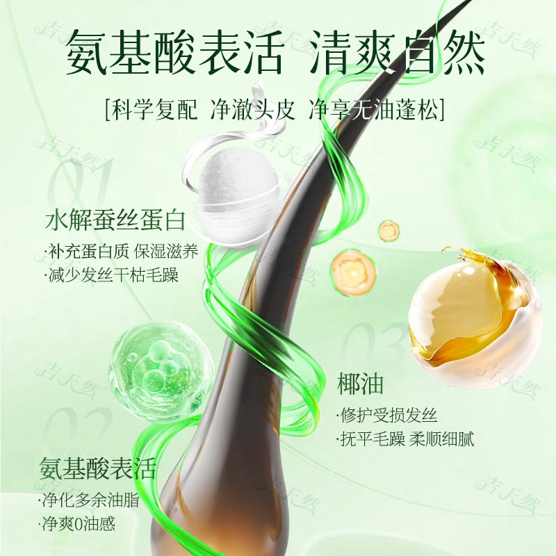 He Shou Wu Herbal Shampoo 300ml Scalp Care and Hair Cleansing for Daily Use - Image 4