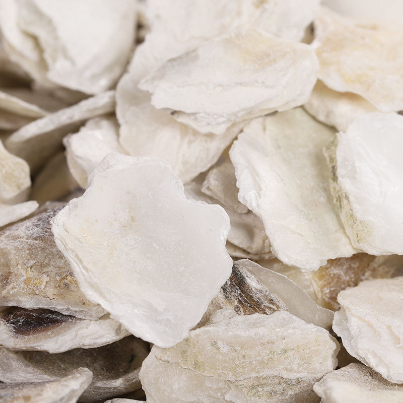 Mu Li (Ostrea gigas) Dried Oyster Shell — Traditional Chinese Herb, Sun-Dried, 500g Powder - Image 3