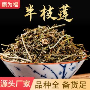 Ban Zhi Lian (Scutellaria barbata) — Dried Chinese Herb, 500g Origin-Sourced