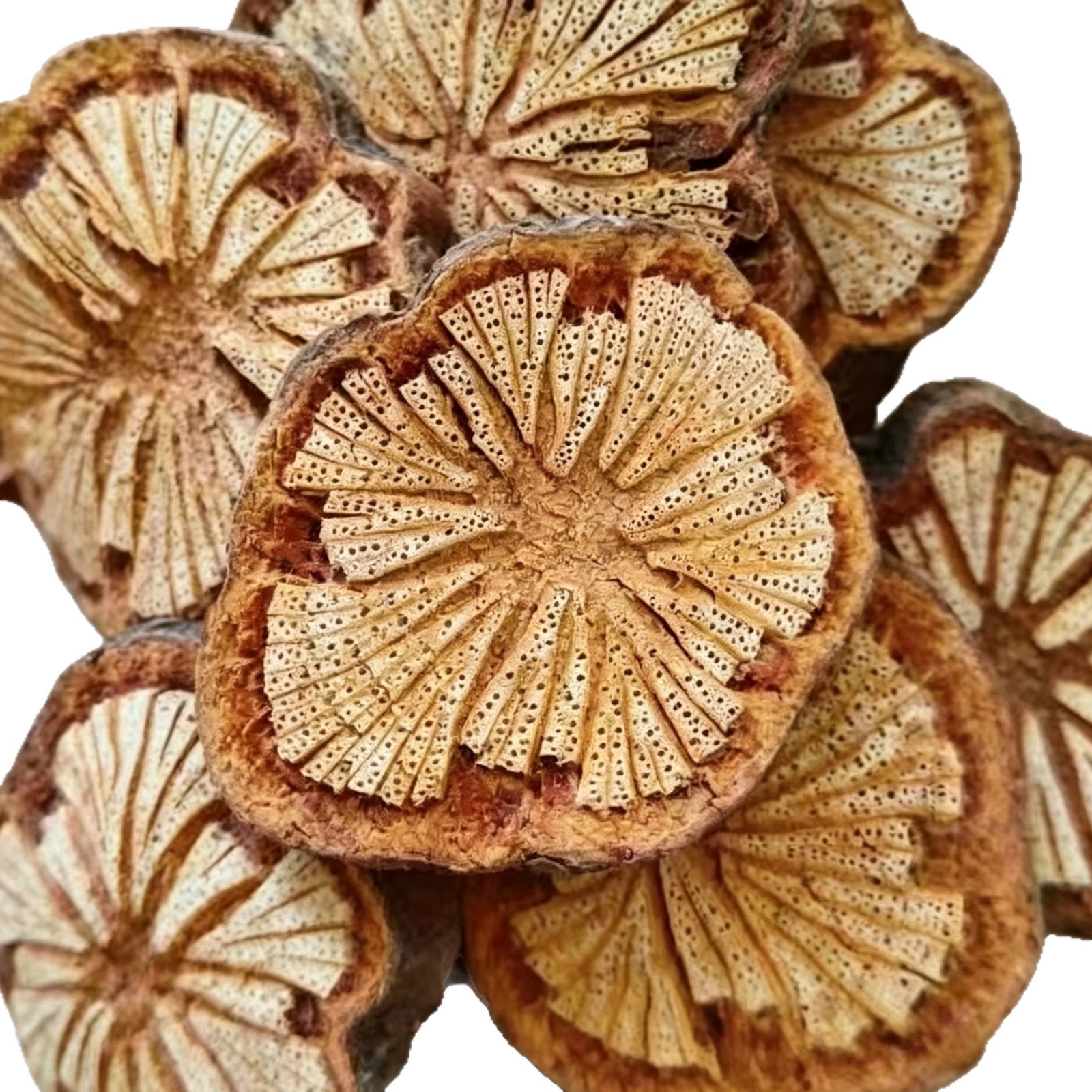 Premium Xue Tong Dried Herb for Tea and Decoction Traditional Chinese Herbal Wellness - Image 5