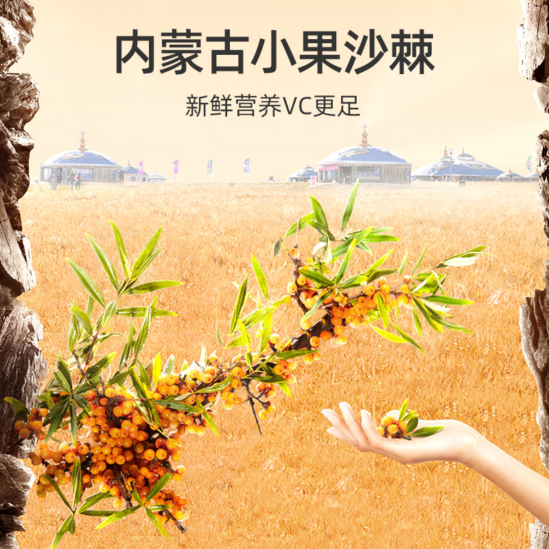 Sea Buckthorn Juice Puree 300ml 10 Sachets Gift Box Ready to Drink - Image 5