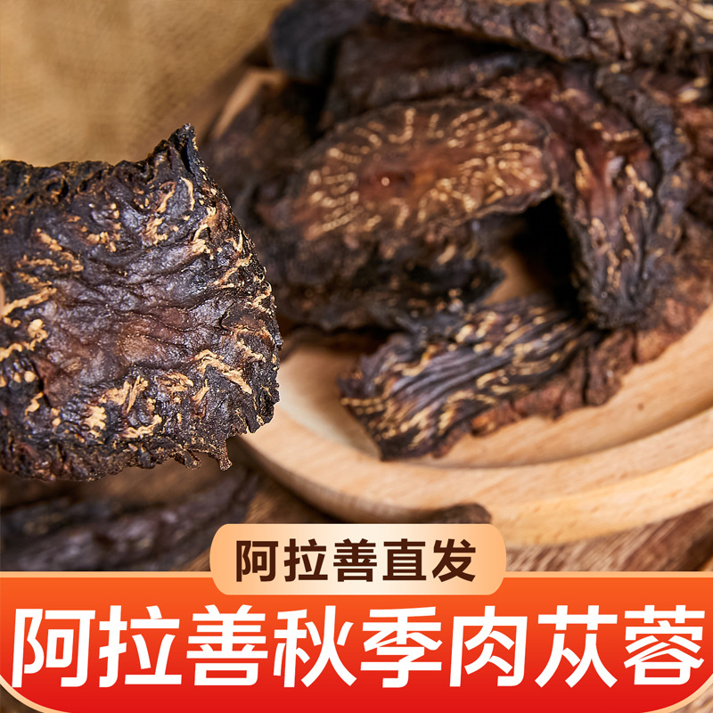 Alxa Cistanche Slices Suoyang Pian Dried Herbal Slices for Tea Soup and Wine Soaking 500g - Image 3