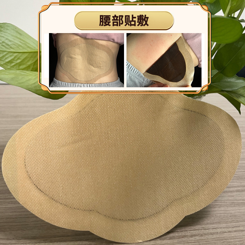 Lumbar Herbal Patch 17x25cm External Topical Paste for Waist Comfort Traditional Chinese Herbal Formula - Image 2