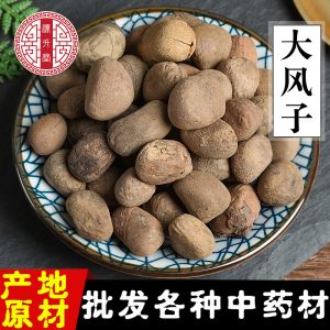 Da Feng Zi (Hydnocarpus anthelminticus) — Dried Chaulmoogra Seeds, Raw Herb Supply
