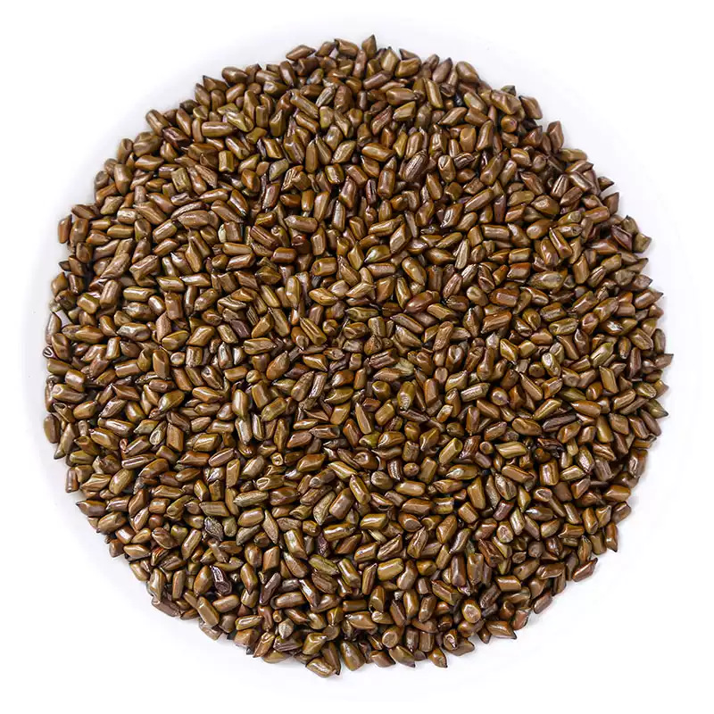 Cassia Seed Jue Ming Zi 500g Dried Cassia Seeds for Tea and Herbal Pillow Filling - Image 5