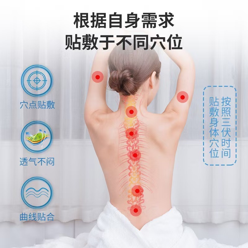 Moxa Sanfu Herbal Patch 30 Pcs Ai Cao Warm Acupoint Stickers for Summer External Use - Image 3