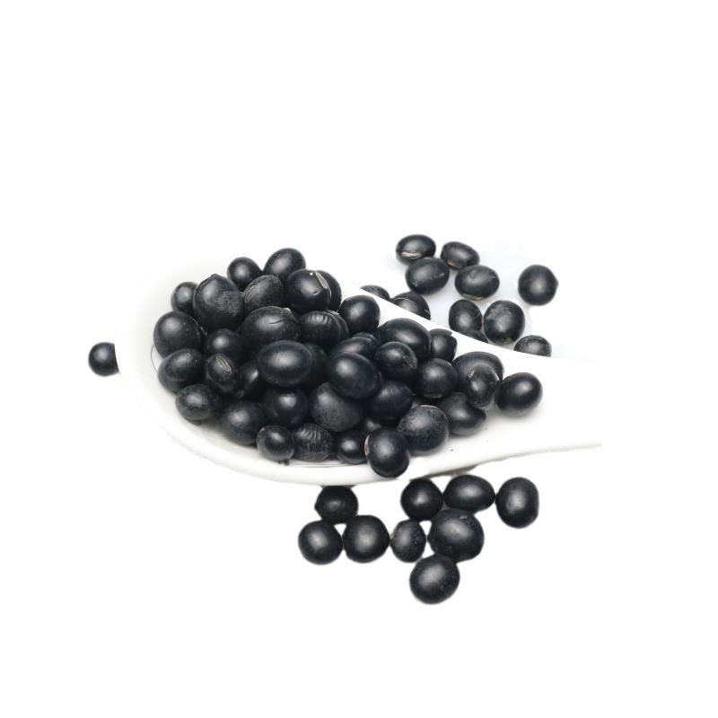 Black Soybeans, Green Kernel (Glycine max) — Northeast China Hei Dou, Food-Herb Legume - Image 5