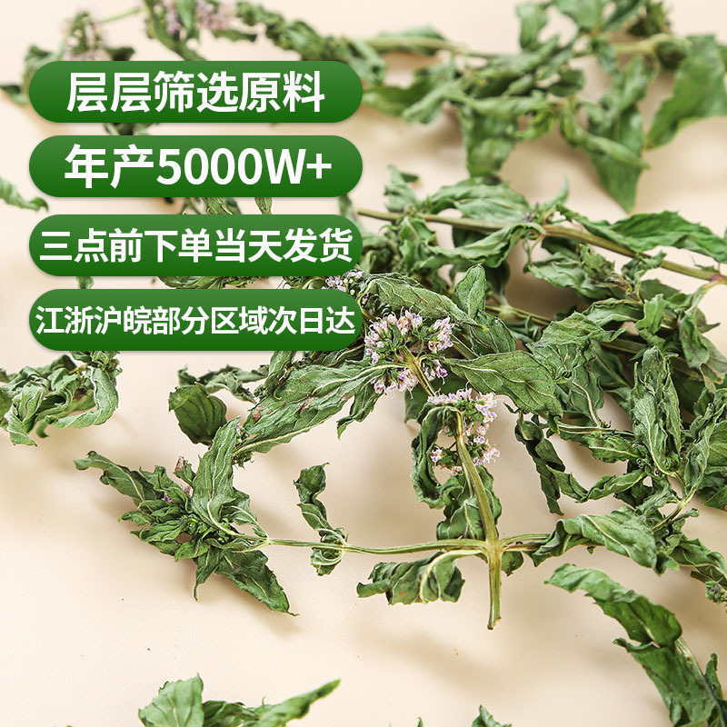 Spearmint Leaf (Mentha spicata) — Anhui Dried Mint Tea for Cold Brew & Daily Infusions - Image 4