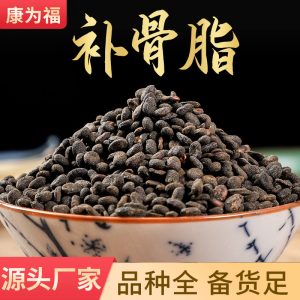 Bu Gu Zhi (Psoralea corylifolia) — Prepared Psoralea Seeds, Food Herb for Decoction & Powder