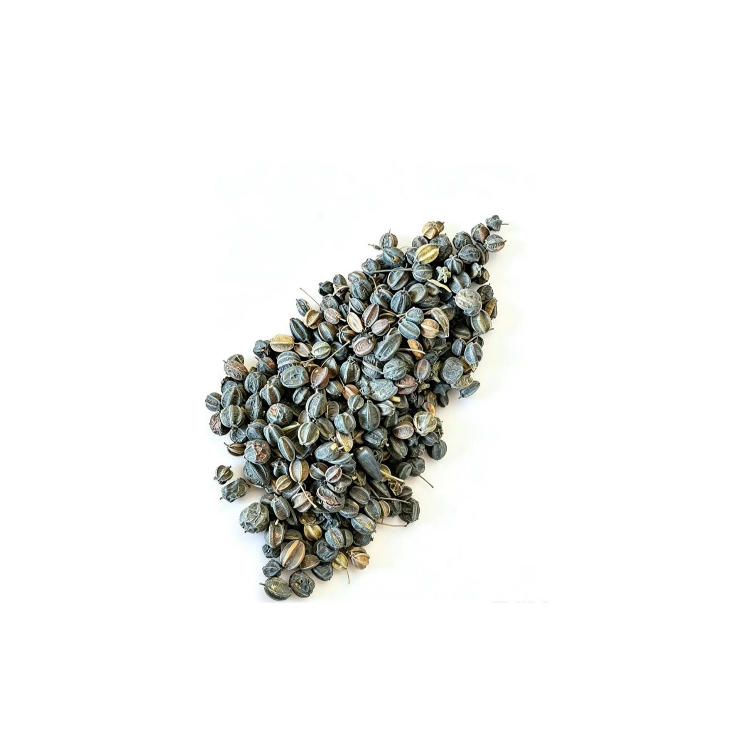 Dried Acanthopanax Senticosus Seeds Ci Wu Jia Zi 500g Raw Herbal Seed for Traditional Decoction - Image 5