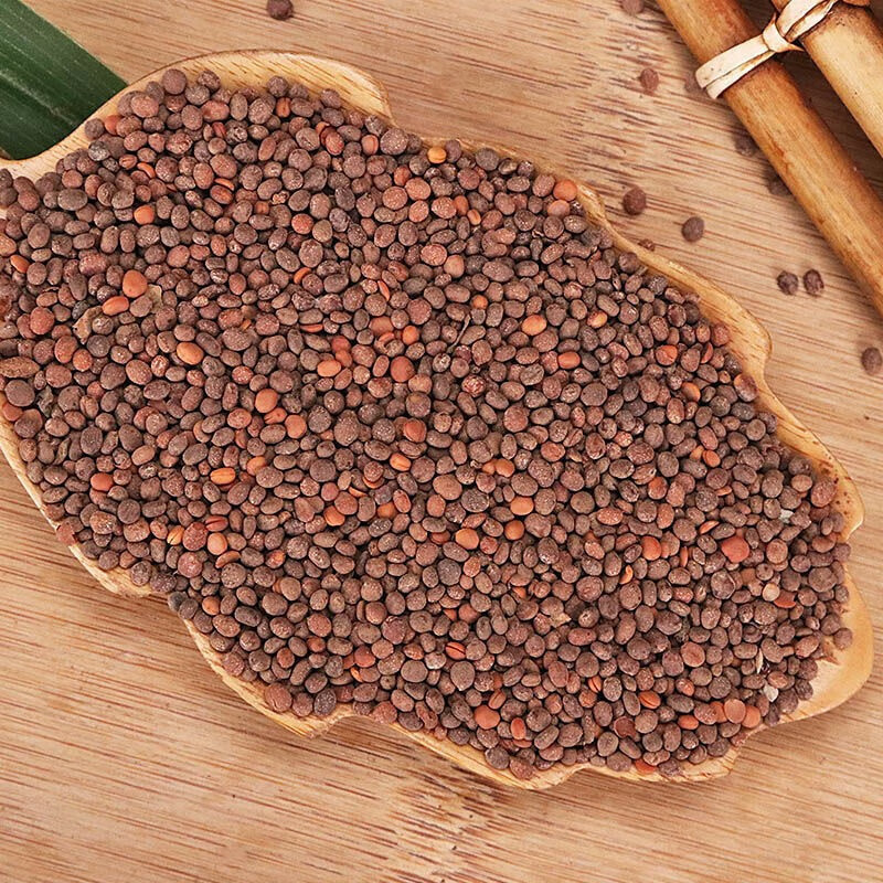 Garden Balsam Seed Ji Xing Zi 急性子 500g Dried Impatiens Balsamina Seeds Traditional Chinese Herb - Image 4