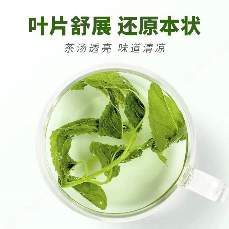 Mint Granule Tea (Mentha haplocalyx) — Loose Dried Mint Leaf Granules, Cold-Brew Herbal Tea - Image 2