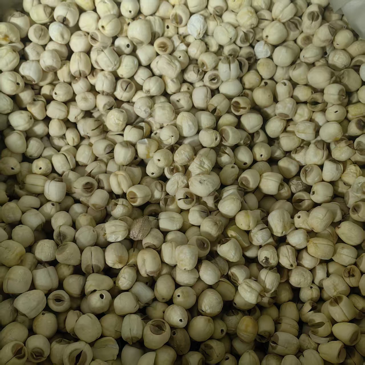 Dried Lotus Seeds Lian Zi 500g Coreless White Lotus Seed Kernels from Hunan for Soup Congee and Herbal Cooking - Image 2