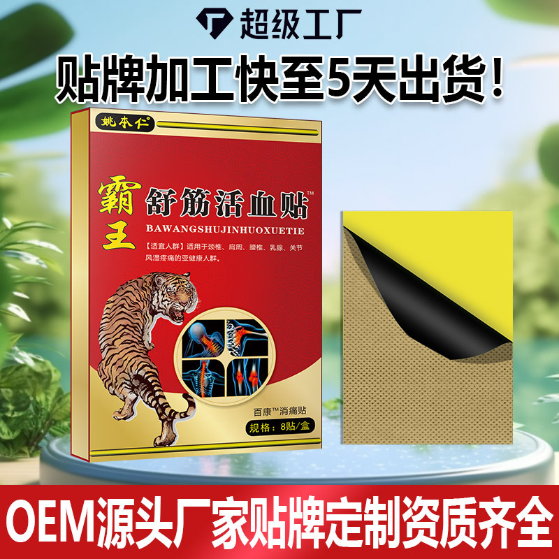 Ba Wang Shu Jin Huo Xue Pain Relief Patch Warming Herbal Plaster for Lower Back 8 Patches per Box - Image 2
