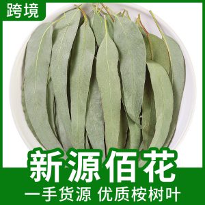 Dried Eucalyptus Leaves (Eucalyptus globulus) — Bulk Food-Grade Herbal Leaf, 500g