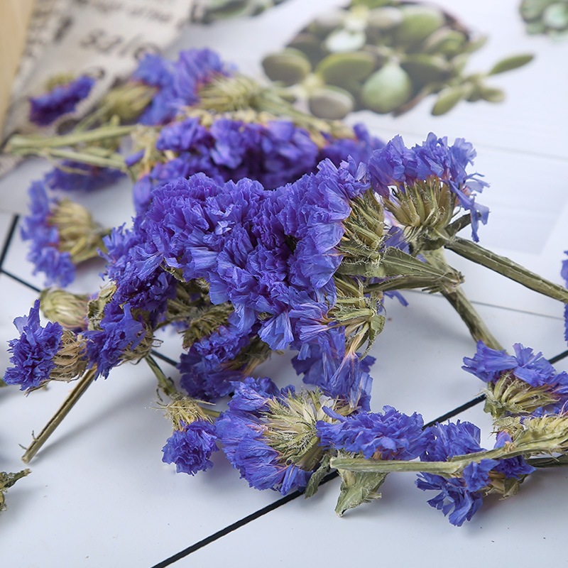 Dried Forget-Me-Not Flowers Wu Wang Wo 500g Loose Herbal Tea Blue Edible Botanicals - Image 3