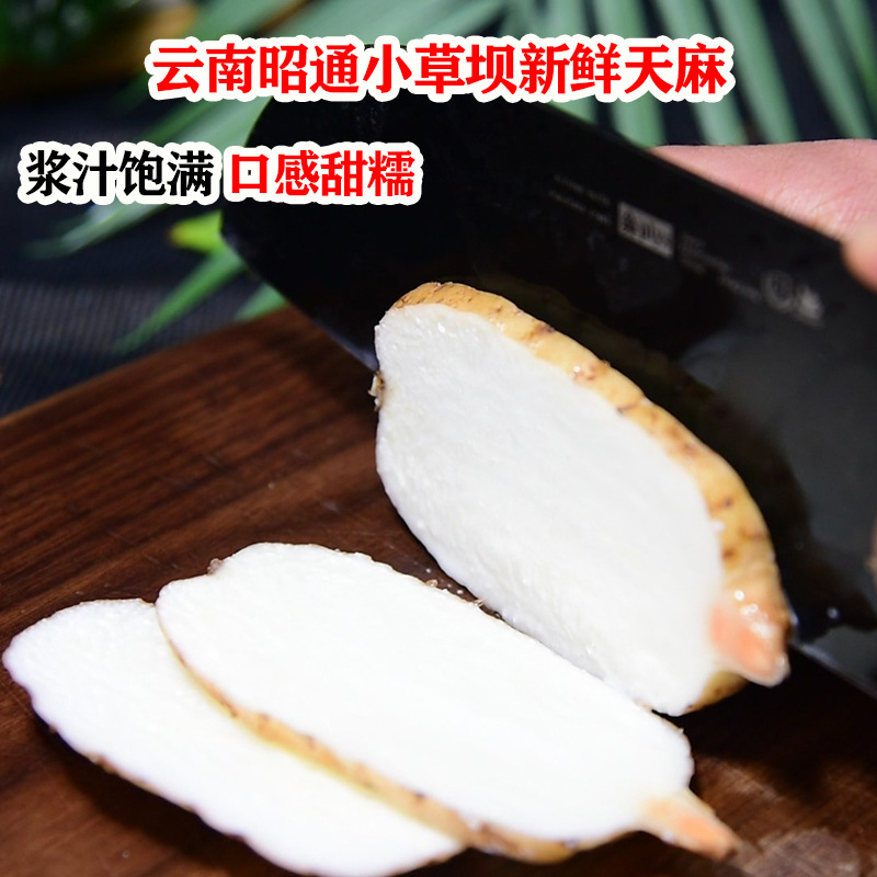 Fresh Wild-Simulated Black Gastrodia Tian Ma 500g Gift Box Yunnan Zhaotong Xiaocaoba Newly Harvested - Image 4