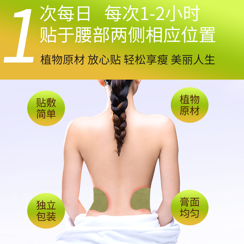 Moxa Waist Heat Patch 12 Box Set Self Adhesive Wormwood Warming Patch for Waist and Joints - Image 3