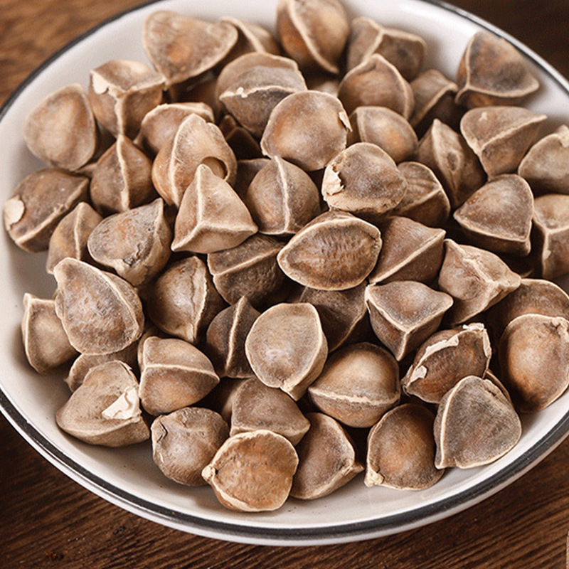 Moringa Seeds La Mu Zi Large Grade Dried Seeds 500g Bulk Pack - Image 4
