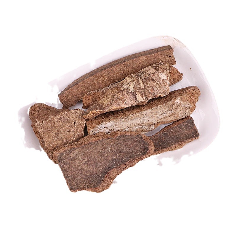 Jiu Bi Ying Bark (Ilex rotunda) — Dried TCM Herb, Thick-Bark Cut, 500g - Image 5