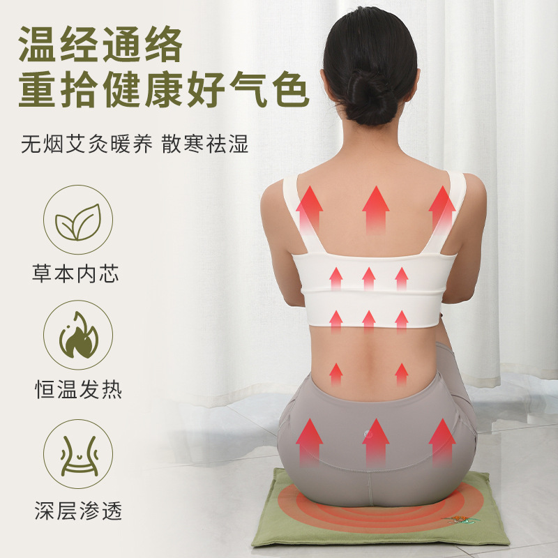 Electric Mugwort Seat Cushion Ai Rong Heated Herbal Pad 43x43cm 9-Level Temperature Control for Office and Home Warm Compress - Image 4
