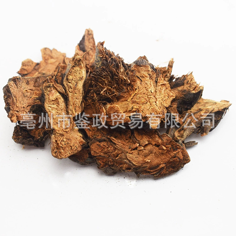 Guan Zhong Dried Cyrtomium Rhizome 500g Bulk TCM Herbal Material - Image 4
