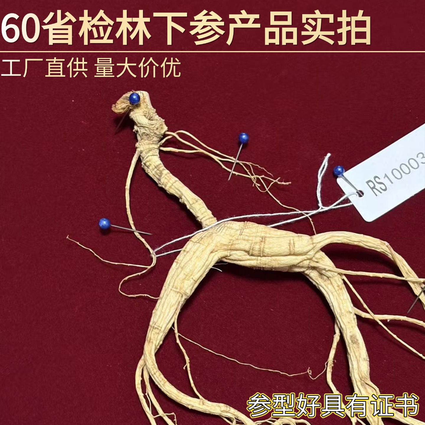 Wild-Simulated Forest Ginseng 60 Province Inspected Dried Root for Cooking and Gift Box - Image 2