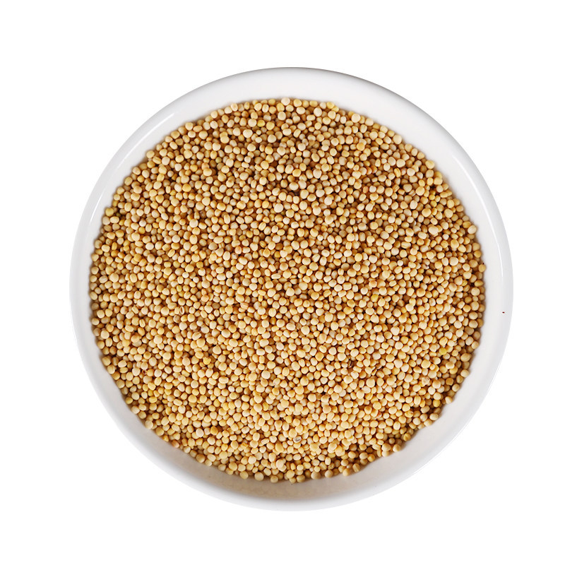 White Mustard Seed Bai Jie Zi 500g Dried Herb for Decoction and Tea - Image 5
