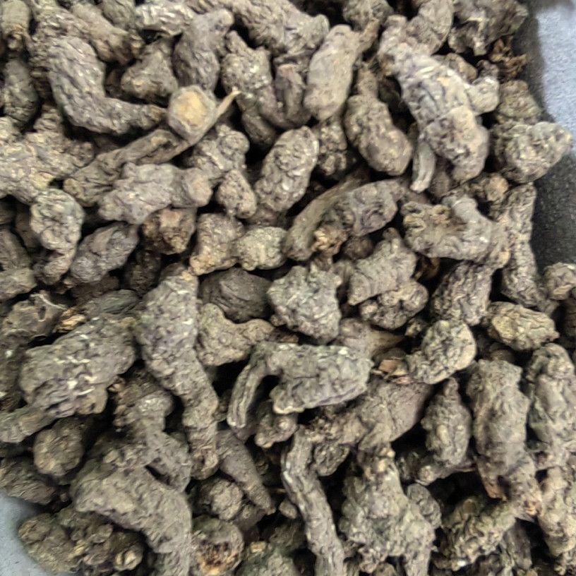 Tian Kui Zi (Semiaquilegia adoxoides) — Dried Food Herb Root, 500g - Image 3
